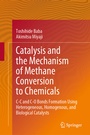 Cover: Catalysis and the Mechanism of Methane Conversion to Chemicals - Springer