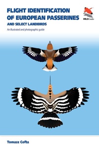 Abbildung von: Flight Identification of European Passerines and Select Landbirds - Princeton University Press