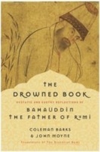 Enlarge image Cover: The Drowned Book - HarperCollins