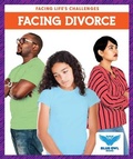 Cover: Facing Divorce - Blue Owl Books