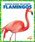 Cover: Flamingos - Pogo Books