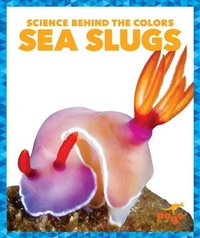 Enlarge image Cover: Sea Slugs - Pogo Books