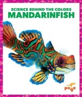 Cover: Mandarinfish - Pogo Books