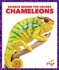 Cover: Chameleons - Pogo Books