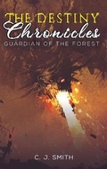 Cover: The Destiny Chronicles - Austin Macauley Publishers LLC