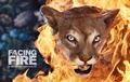 Cover: Facing Fire - Inlandia Institute