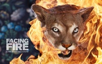 Enlarge image Cover: Facing Fire - Inlandia Institute