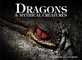 Cover: Dragons & Mythical Creatures - Amber Books