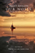 Cover: Right Beneath Our Noses And Other Stories - Deebee Publishing