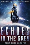 Cover: Echoes In The Grey - DeeBee Books