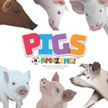 Cover: Pigs R Amazing! - R-and-Q.com