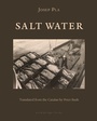 Cover: Salt Water - Archipelago Books