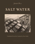 Cover: Salt Water - Archipelago Books