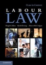 Cover: Labour Law - Cambridge University Press