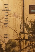 Cover: Show Me Something You Can Not Even Think Of - Flowstone Press