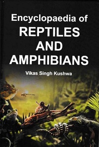 Abbildung von: Encyclopaedia Of Reptiles And Amphibians - Centrum Press