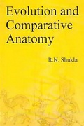 Cover: Evolution and Comparative Anatomy - Centrum Press