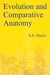 Enlarge image Cover: Evolution and Comparative Anatomy - Centrum Press