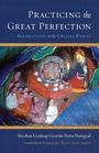 Cover: Practicing the Great Perfection - Shambhala