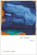 Cover: Rain in Plural - Princeton University Press
