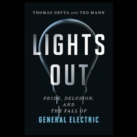 Enlarge image Cover: Lights Out - Houghton Mifflin