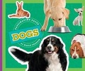 Cover: Dogs - Child's World
