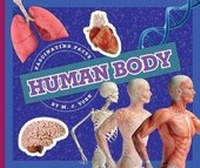 Abbildung von: Human Body - Child's World