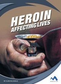 Abbildung von: Heroin - Child's World, Inc. Momentum