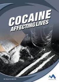 Abbildung von: Cocaine - Child's World, Inc. Momentum