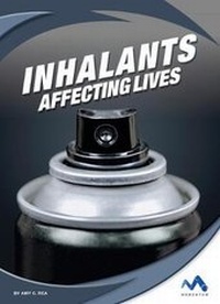 Abbildung von: Inhalants - Child's World, Inc. Momentum