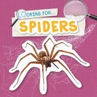 Enlarge image Cover: Spiders - BookLife Publishing