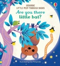 Cover: Are You There Little Bat? - Usborne Publishing Ltd