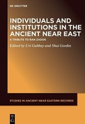 Cover: Individuals and Institutions in the Ancient Near East - De Gruyter