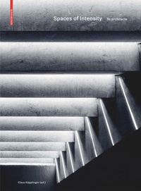Enlarge image Cover: Spaces of Intensity - Birkhäuser