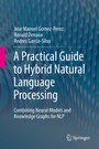 Cover: A Practical Guide to Hybrid Natural Language Processing - Springer