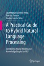 Cover: A Practical Guide to Hybrid Natural Language Processing - Springer