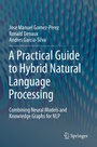 Cover: A Practical Guide to Hybrid Natural Language Processing - Springer