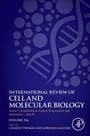 Cover: Actin Cytoskeleton in Cancer Progression and Metastasis - Part B: Volume 356 - Academic Press