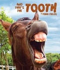 Cover: And That's the Tooth - Arbordale Publishing LLC