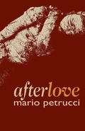 Cover: afterlove - Cinnamon Press
