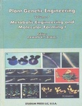 Cover: Plant Genetic Engineering (Metabolic Engineering and Molecular Farming-I) - Studium Press
