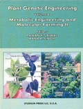 Cover: Plant Genetic Engineering (Metabolic Engineering and Molecular Farming-II) - Studium Press