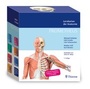 Cover: PROMETHEUS LernKarten der Anatomie - Thieme
