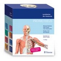 Enlarge image Cover: PROMETHEUS LernKarten der Anatomie - Thieme