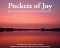 Cover: Pockets of Joy - Good Evans Proofreading and Research