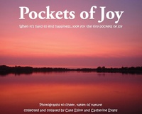 Enlarge image Cover: Pockets of Joy - Good Evans Proofreading and Research