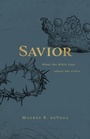 Cover: Savior - Abingdon Press