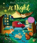 Cover: What Can You See At Night? - Little Tiger