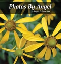 Cover: Photos By Angel - Painted Gate Publishing