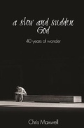 Cover: A Slow and Sudden God - True Potential Publishing